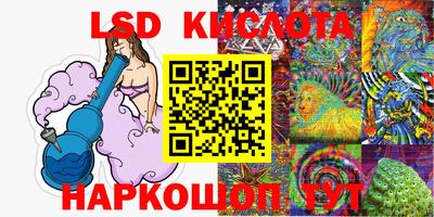 спиды Гатчина