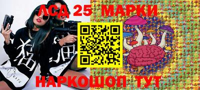 спиды Гатчина