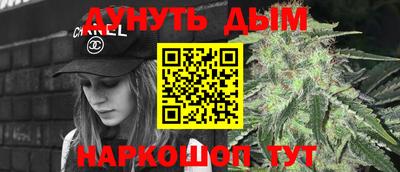 спиды Гатчина