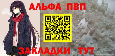 спиды Гатчина
