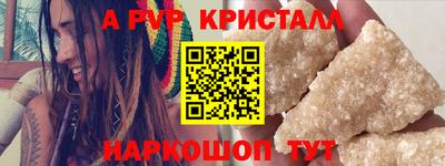 спиды Гатчина