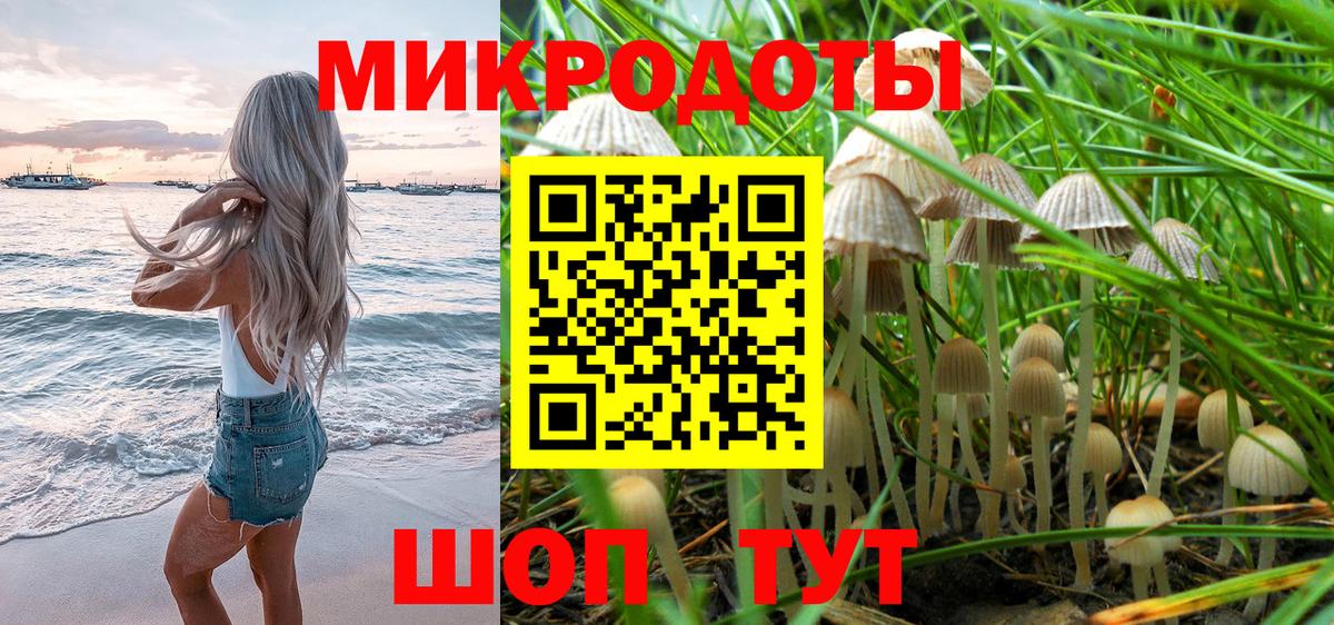 Псилоцибиновые грибы MAGIC MUSHROOMS Старая Купавна