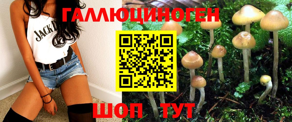 Псилоцибиновые грибы Cubensis  Вход с VPN  Старая Купавна 